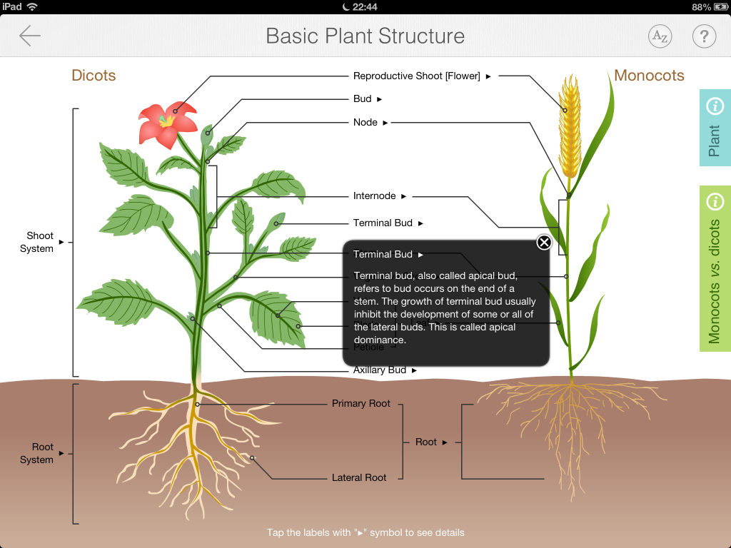 science-ipad-and-android-tablet-app-focus-on-plant-introduce-you-to