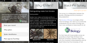 spider in da house app